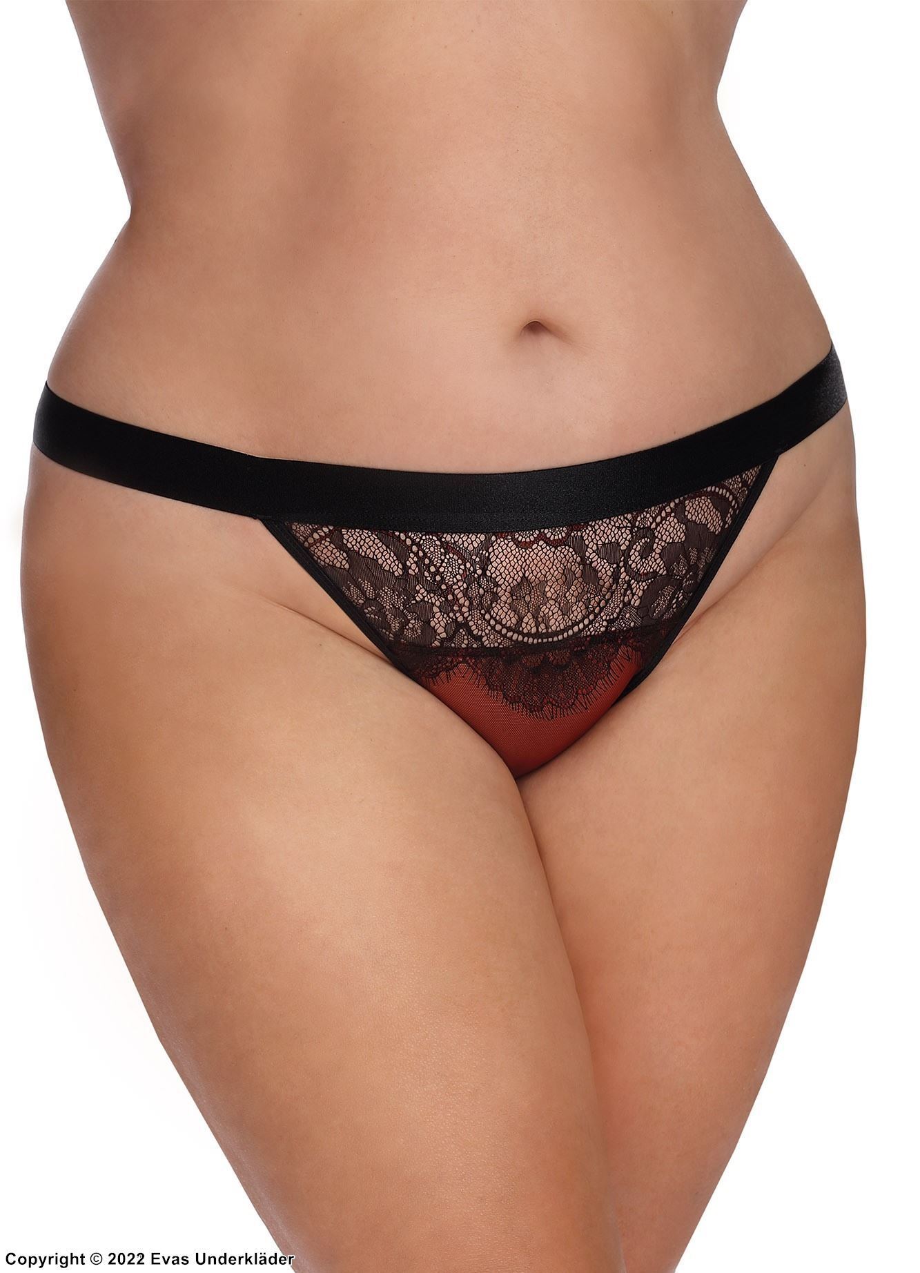 Romantic cheeky panties, tulle, lace inlay, sheer back, plus size